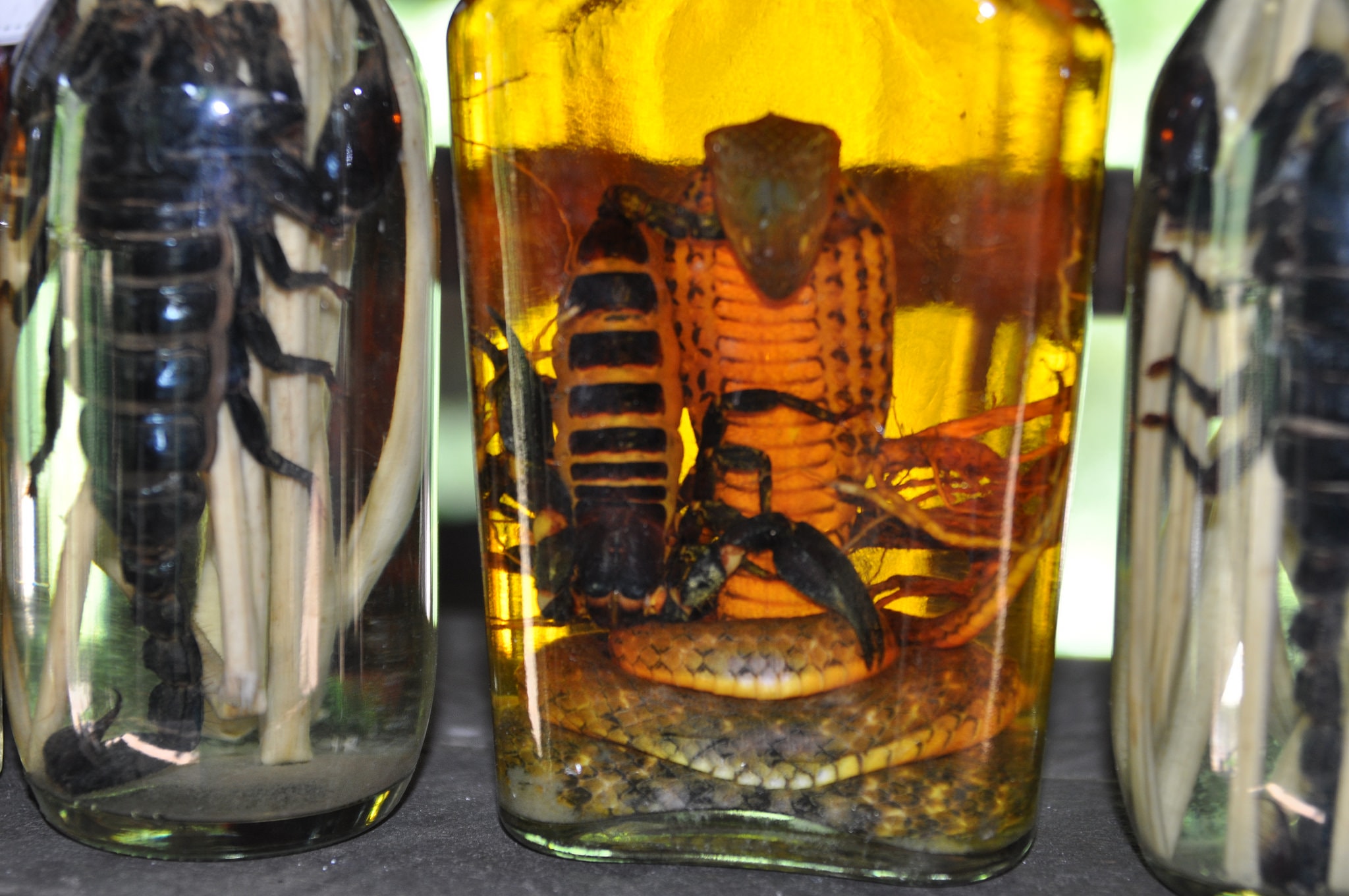 Snake wine - Go Asia Travel